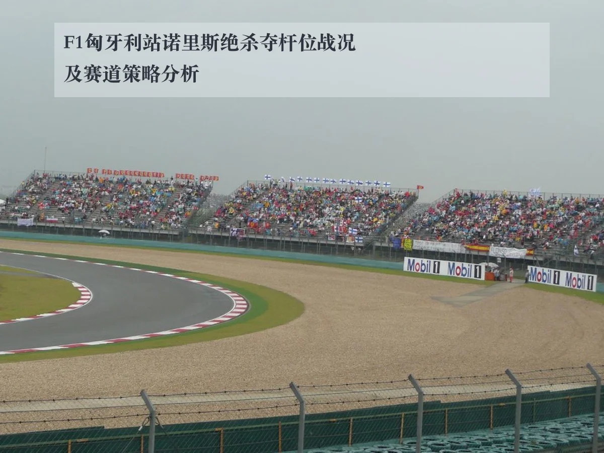 F1匈牙利站诺里斯绝杀夺杆位战况及赛道策略分析 - www.ky.cc